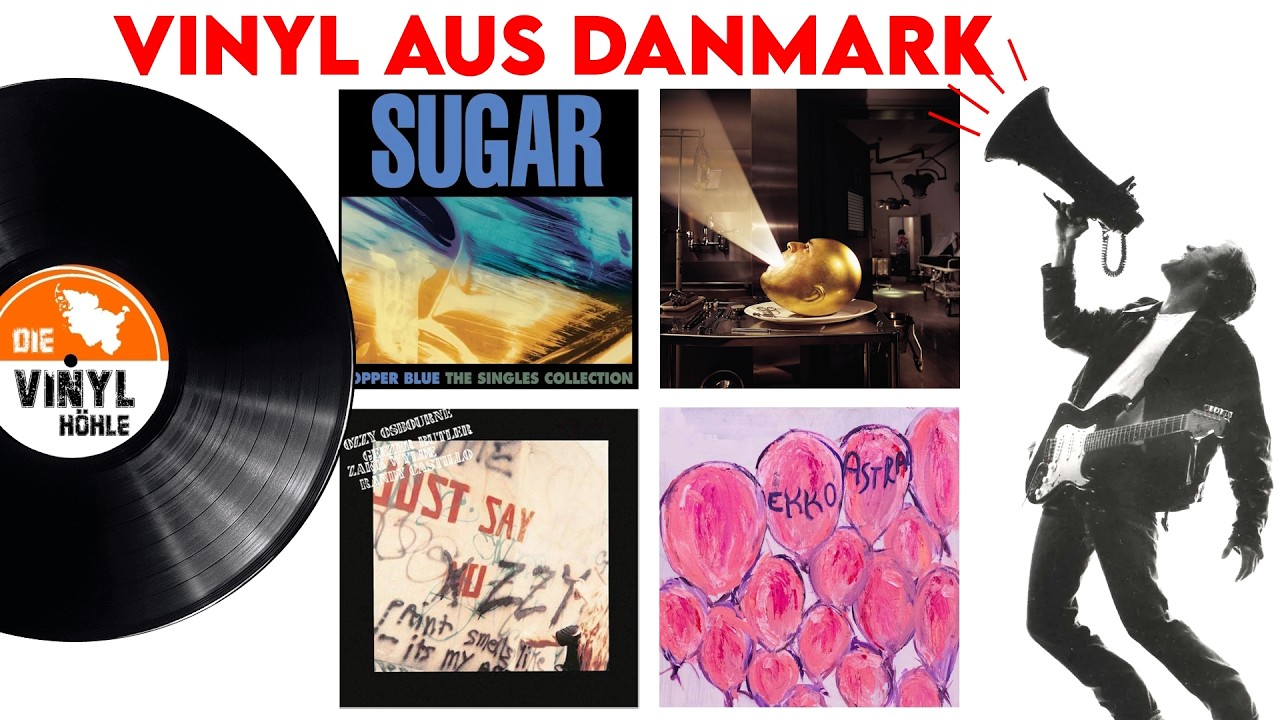 VINYL SHOPPING IN DÄNEMARK - KOLDING  #gvc #germanvinylcommunity