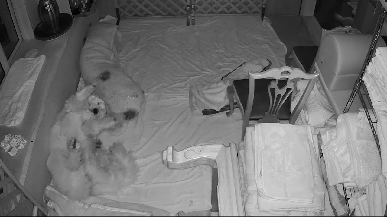 【ルンルンの裏庭】のびのび眠るリリー