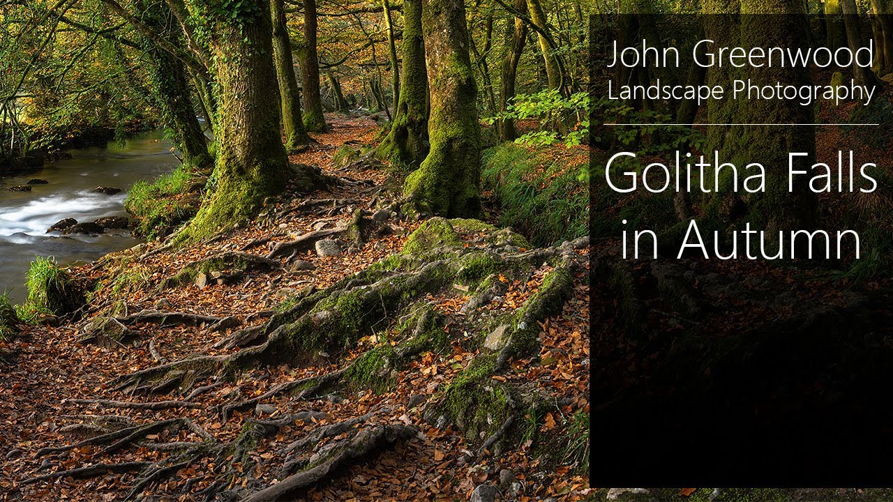 Golitha Falls, Autumn | Landscape Photography