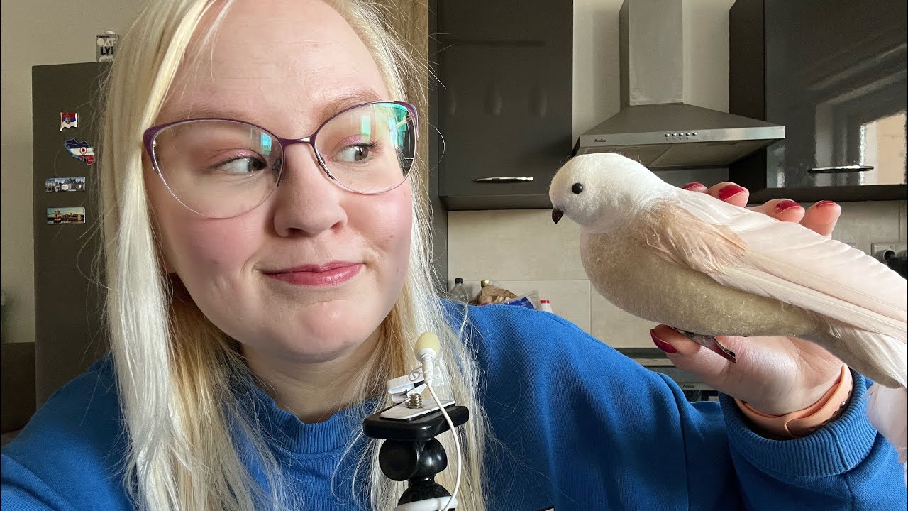 ASMR SUOMI Rento höpöttelyvideo minimikillä 🐦