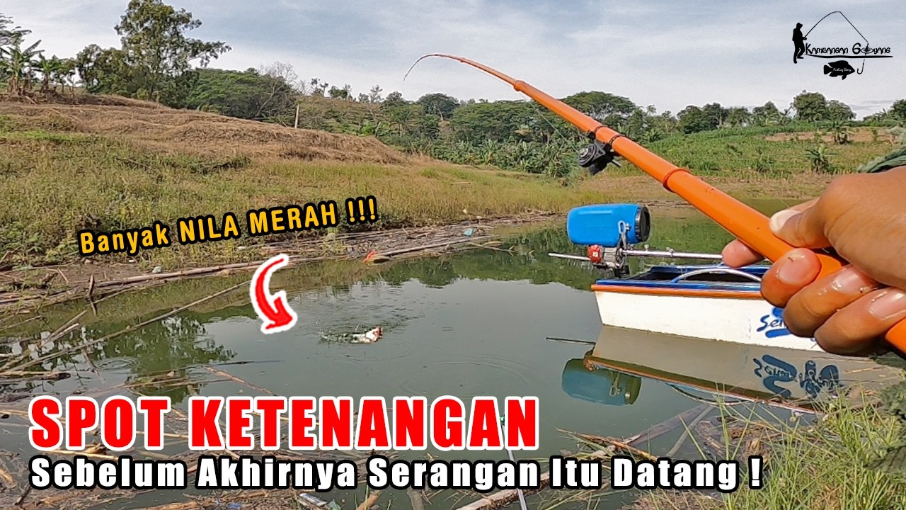 HAMPIR SAJA SAYA PANEN IKAN NILA MERAH DI SPOT MANCING YANG MENENANGKAN INI! Fishing Story Eps 129