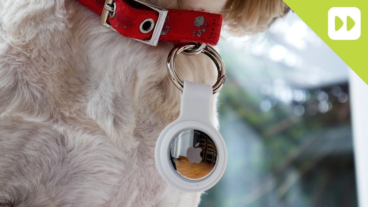 How to add an Apple AirTag to your dog collar!