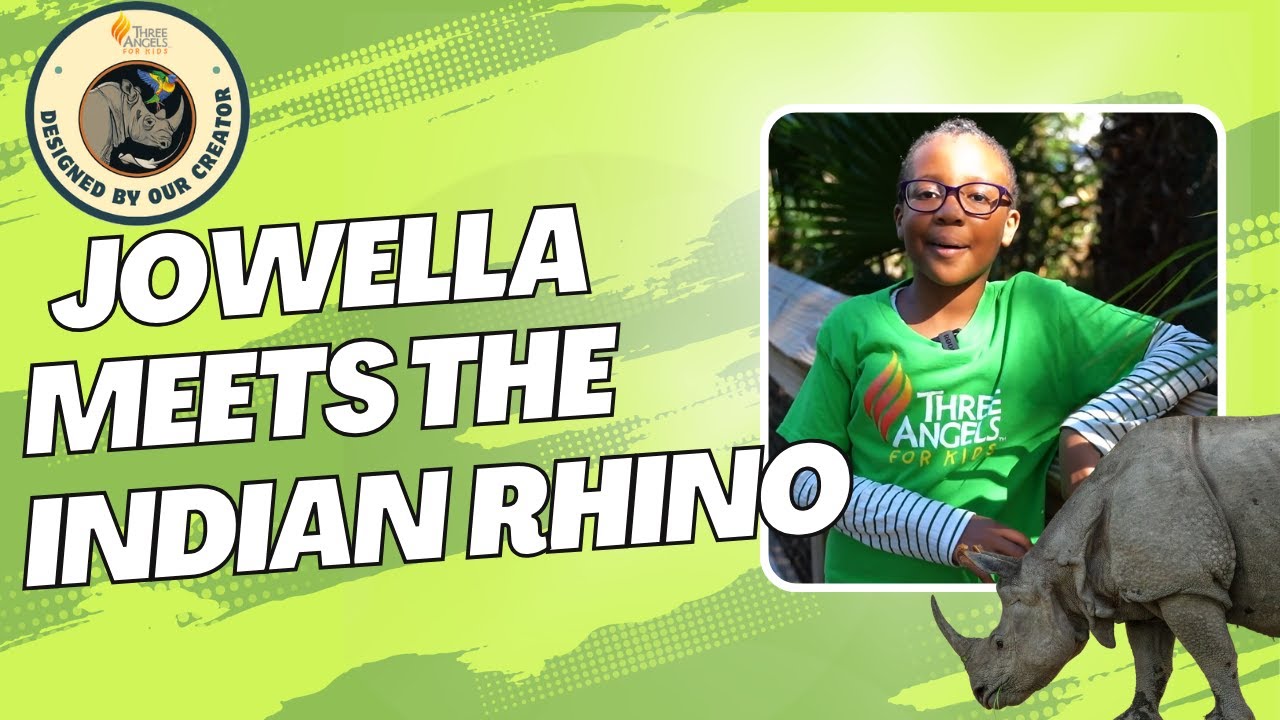 INDIAN RHINO: Designed by Our Creator