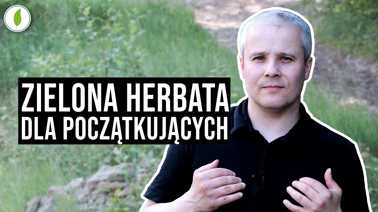Od czego zacząć przygodę z zieloną herbatą?