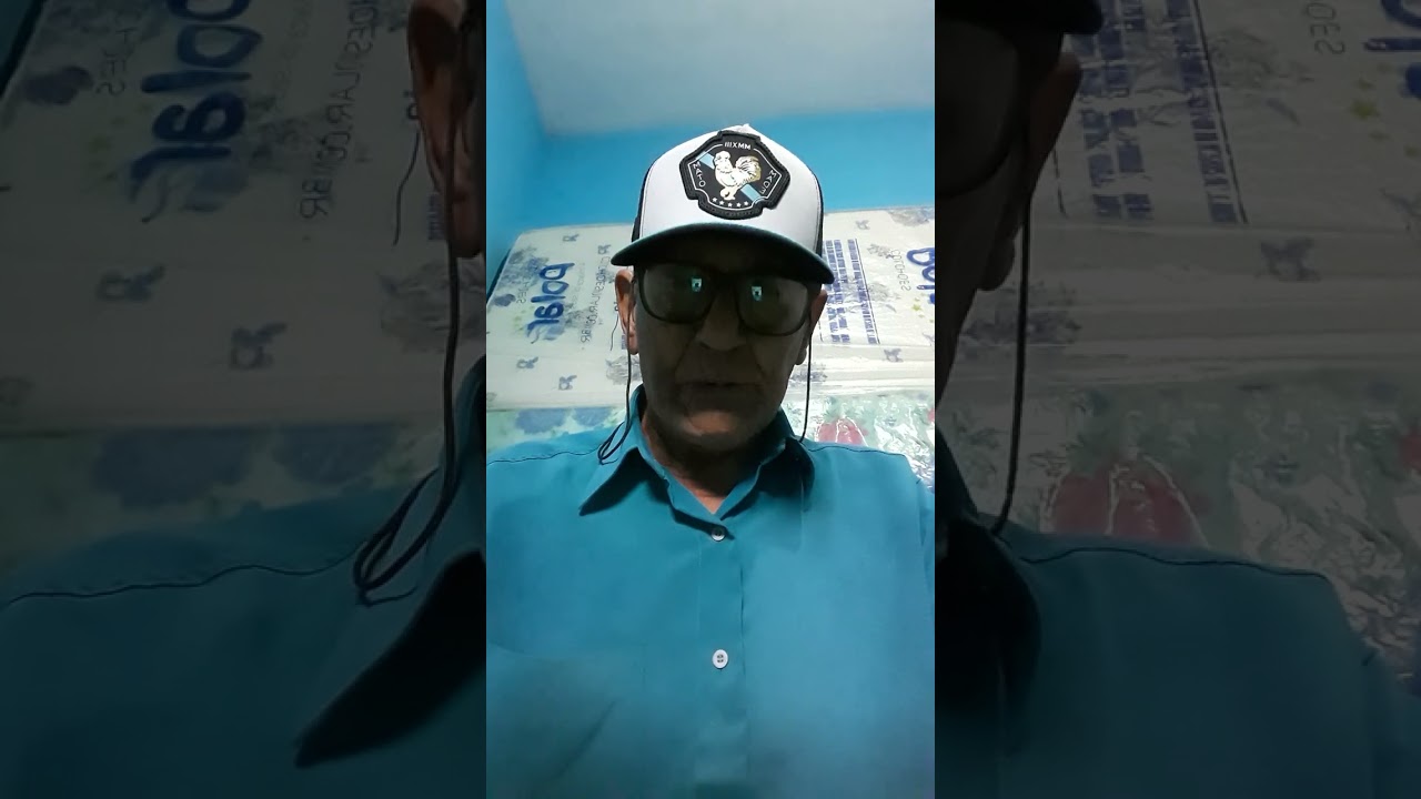 João Lopes Da Silva, Brasil República 