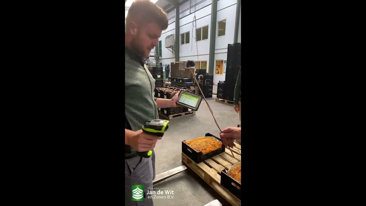 Livestream 08-09-2021 - Tulip bulb processing