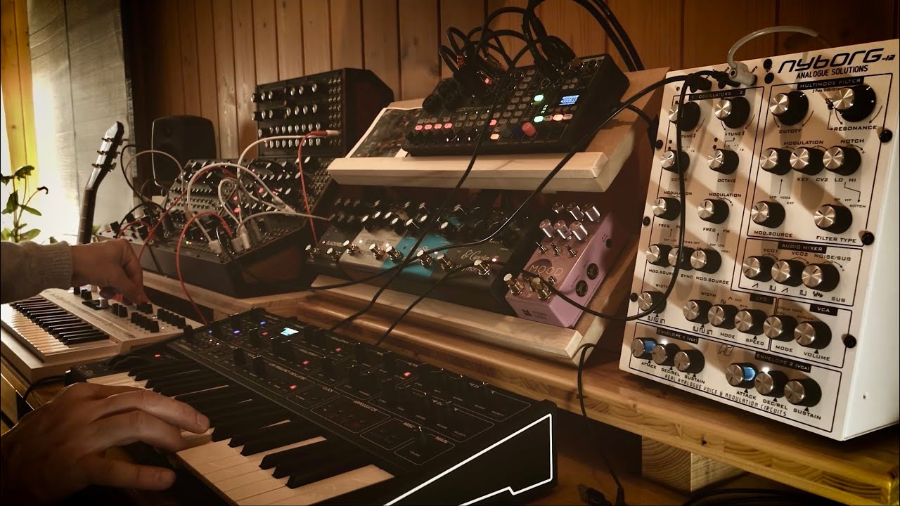 Ambient Dub electronica -Chillout sounds with #moog #sequential #arturia #strymon 