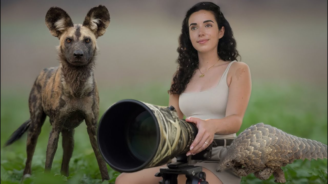 A Safari Like No Other: Exploring the Untouched Wilderness of Gorongosa, Mozambique