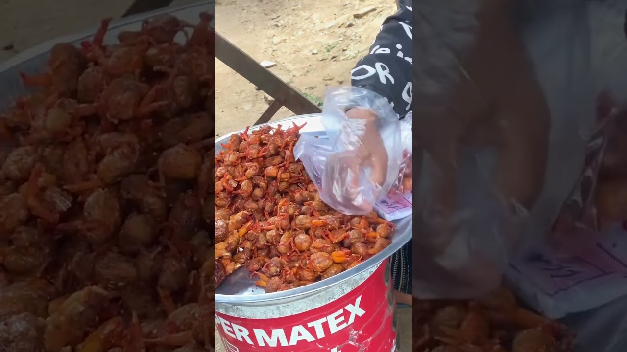 Small frog 🐸  stree food in Cambodia #streetfood #wanderfull #yammyfood #goodtimes #shortsvideo