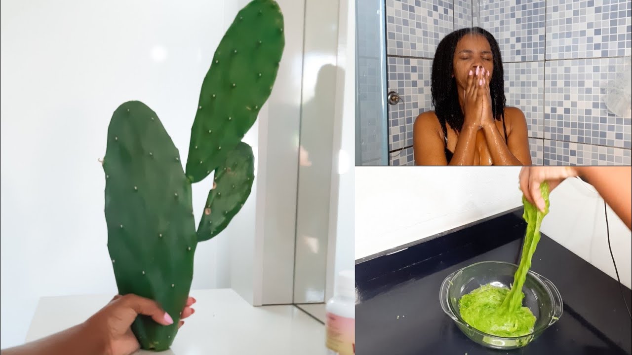 CACTO PARA O CRESCIMENTO DE CABELO, LONGOS E SAUDÁVEIS | É MELHOR QUE ALOE VERA. ♡