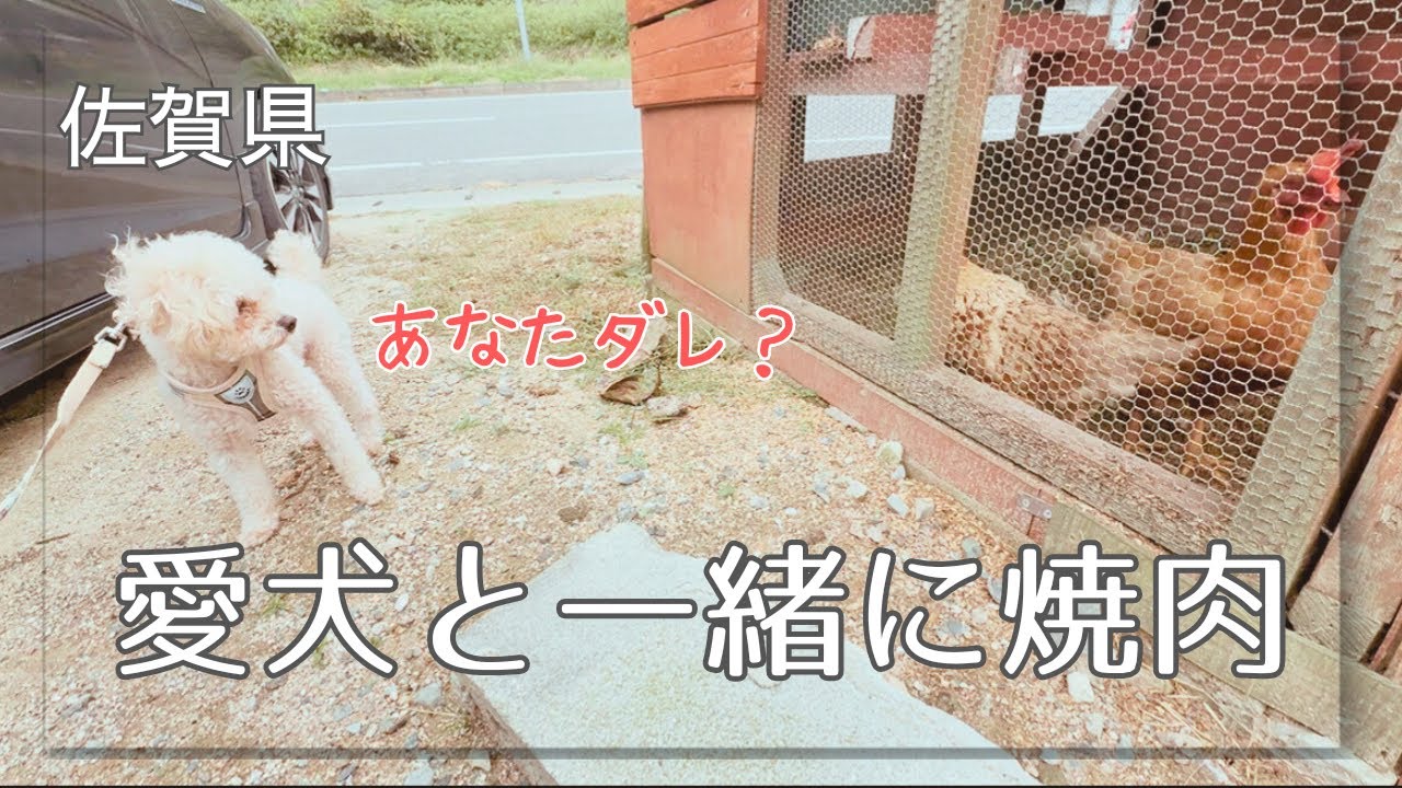 【佐賀Vlog】ワンコと焼肉＆おでかけDay🐶佐賀・吉野ヶ里で過ごす癒しの1日