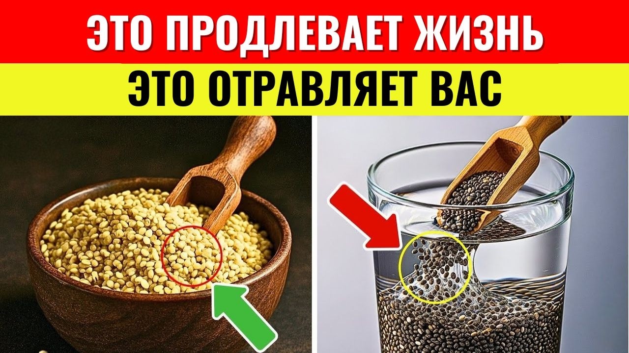 После 60 лет? 4 ОПАСНЫХ семени, к которым НЕЛЬЗЯ прикасаться — и 4, которые НУЖНО есть каждый день