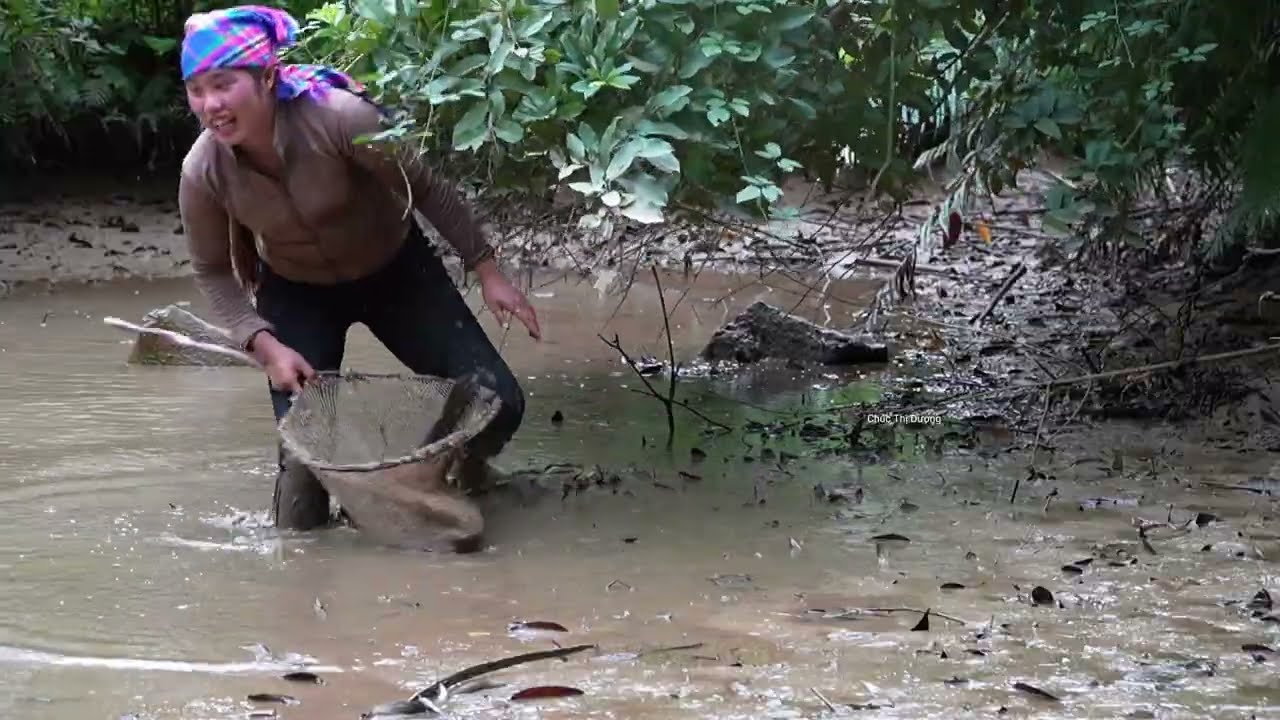 Setting Traps to Harvest a Natural Fish Pond – Selling at the Market and Frying Fish for My Kids
