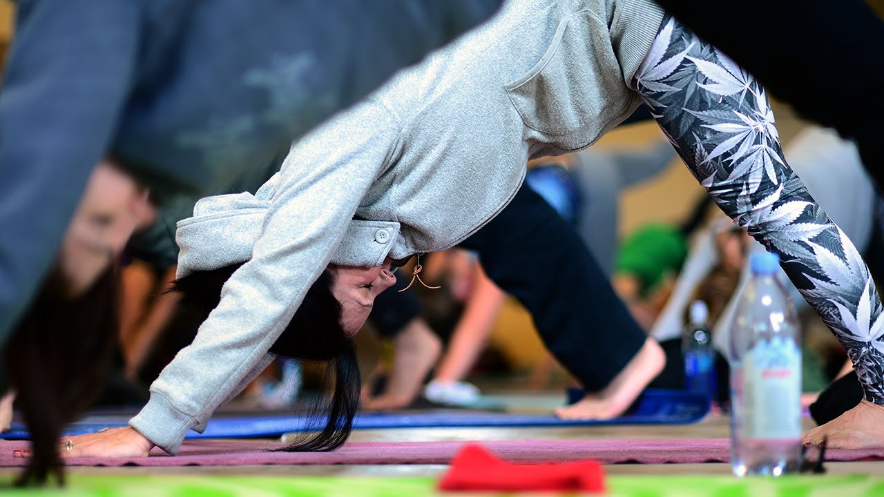 Yoga with a View: Meditation and marijuana