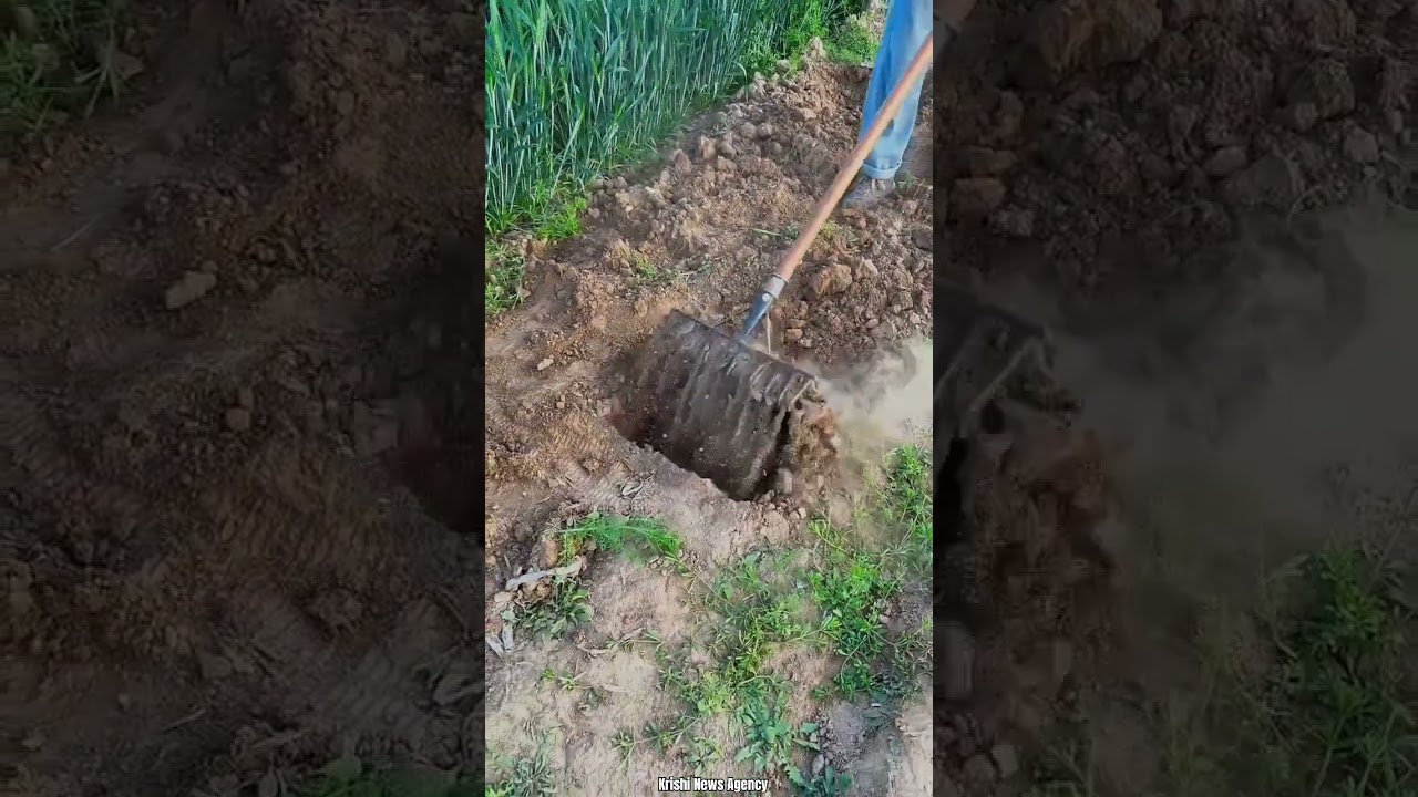 New Farming Hand Tool for Digging Soil #tools #shorts