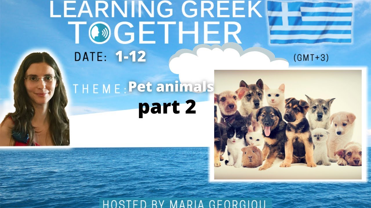 Greek group speaking class - pet animals - part 2