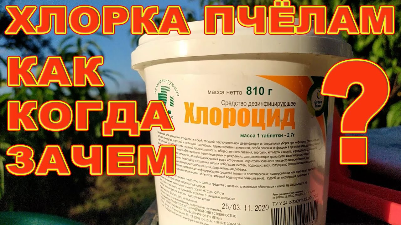 Когда Как Зачем давать ХЛОРКУ ПЧЁЛАМ