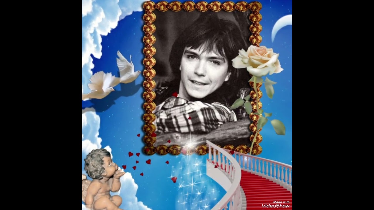 David Cassidy Tribute - One Last Goodbye