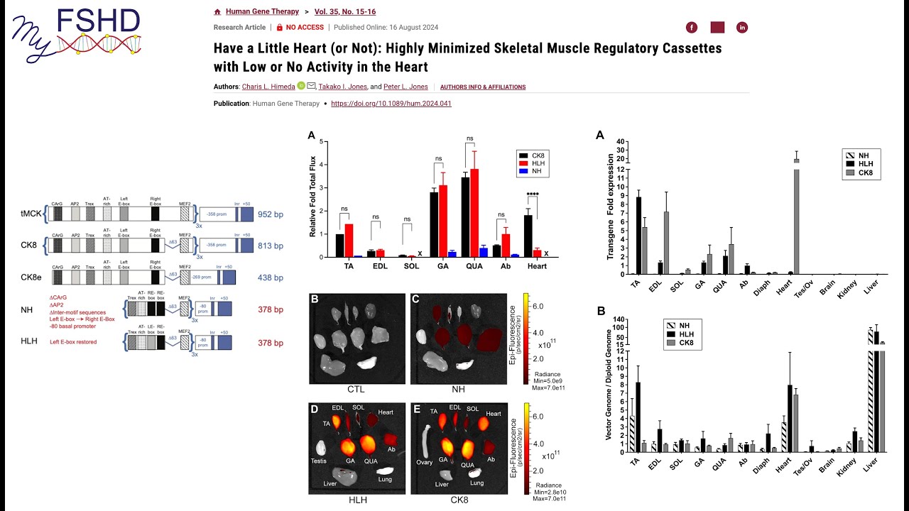 All-in-one version of our evaluation of EPI-321 data and trial.