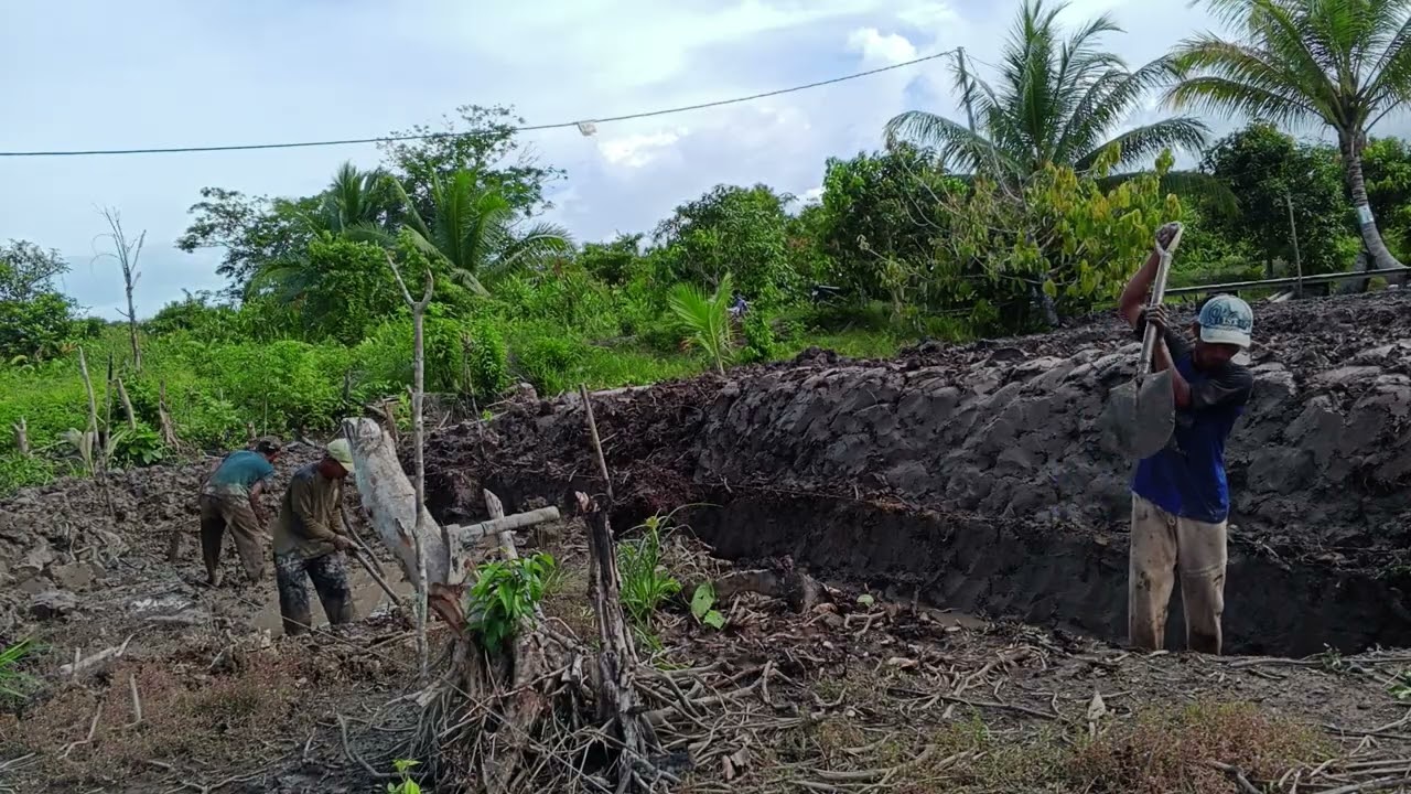 BIKIN KOLAM KE 3 DI TEMPAT PAK MAKSUM