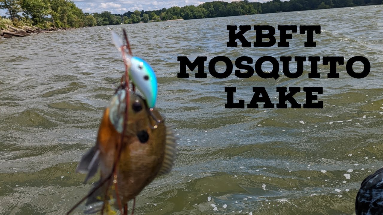 Buckeye Kayak Fishing Trail Tourney    Mosquito Creek Lake   4K