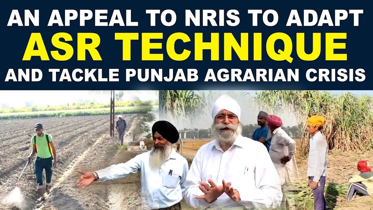 An Appeal to NRIs to Adapt ASR technique And Tackle Punjab Agrarian Crisis | Sadda Khirda Punjab