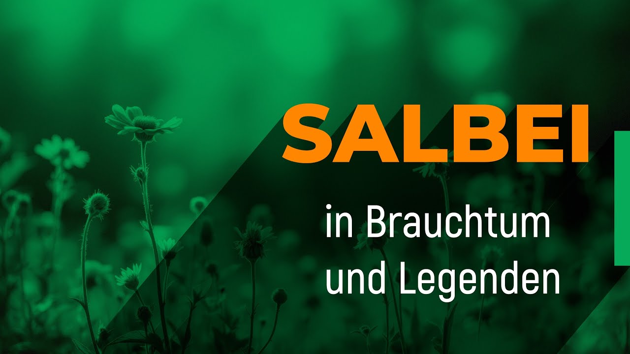 Salbei &ndash; Geschichten, Mythos und Legenden | Gr&uuml;ngeweihte Pflanzen |