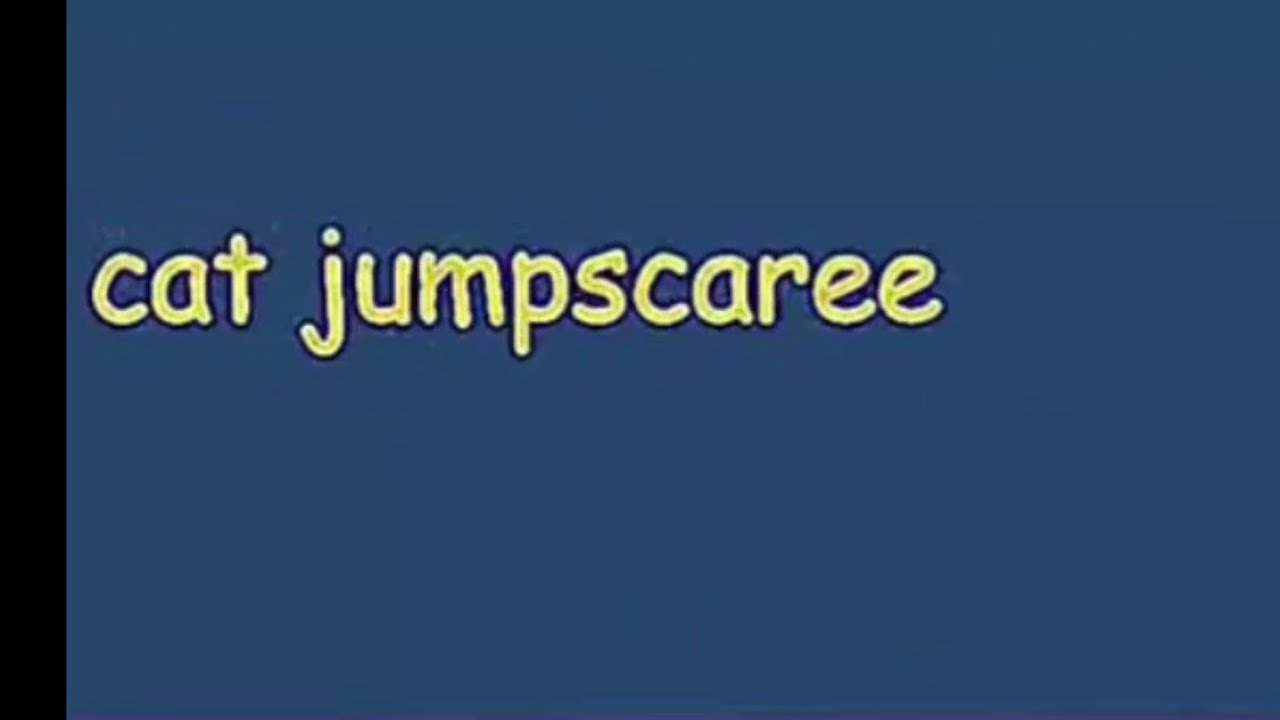 cat jumpscare