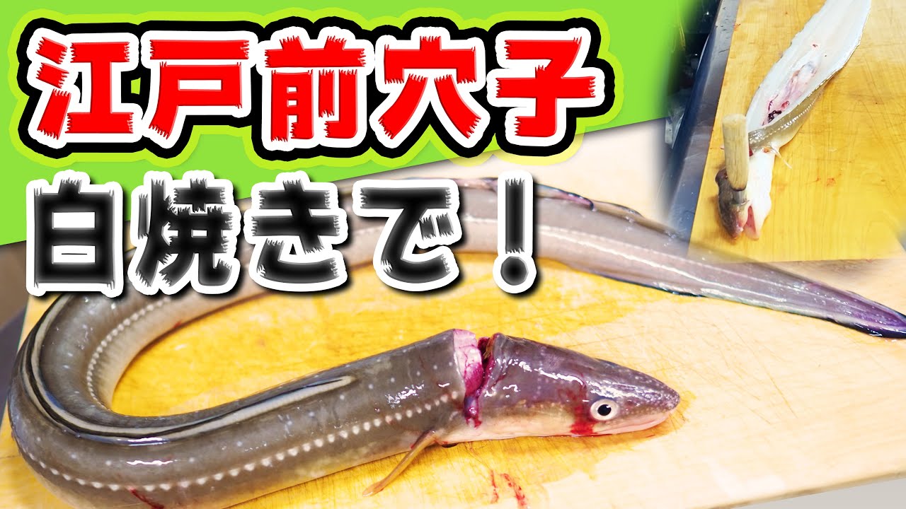 黄金に輝く、東京湾ブランド【江戸前あなご】を、白焼きで食す【魚料理】