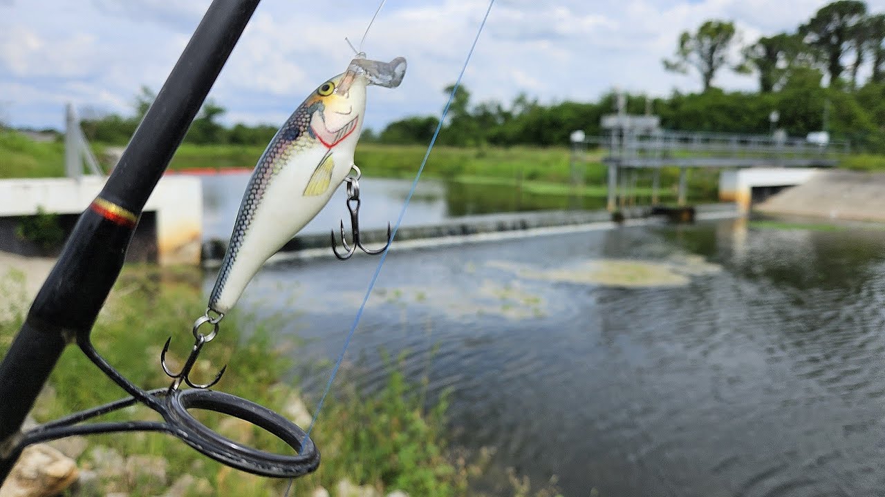 Spillway Fishing with Rapala Shallow Shad Rap