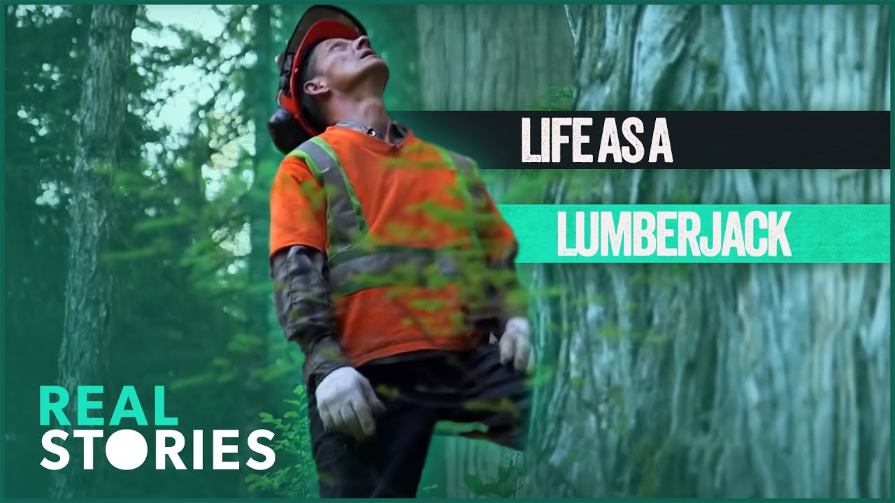 The Hidden Dangers Of Being A Lumberjack: Extreme Logging
