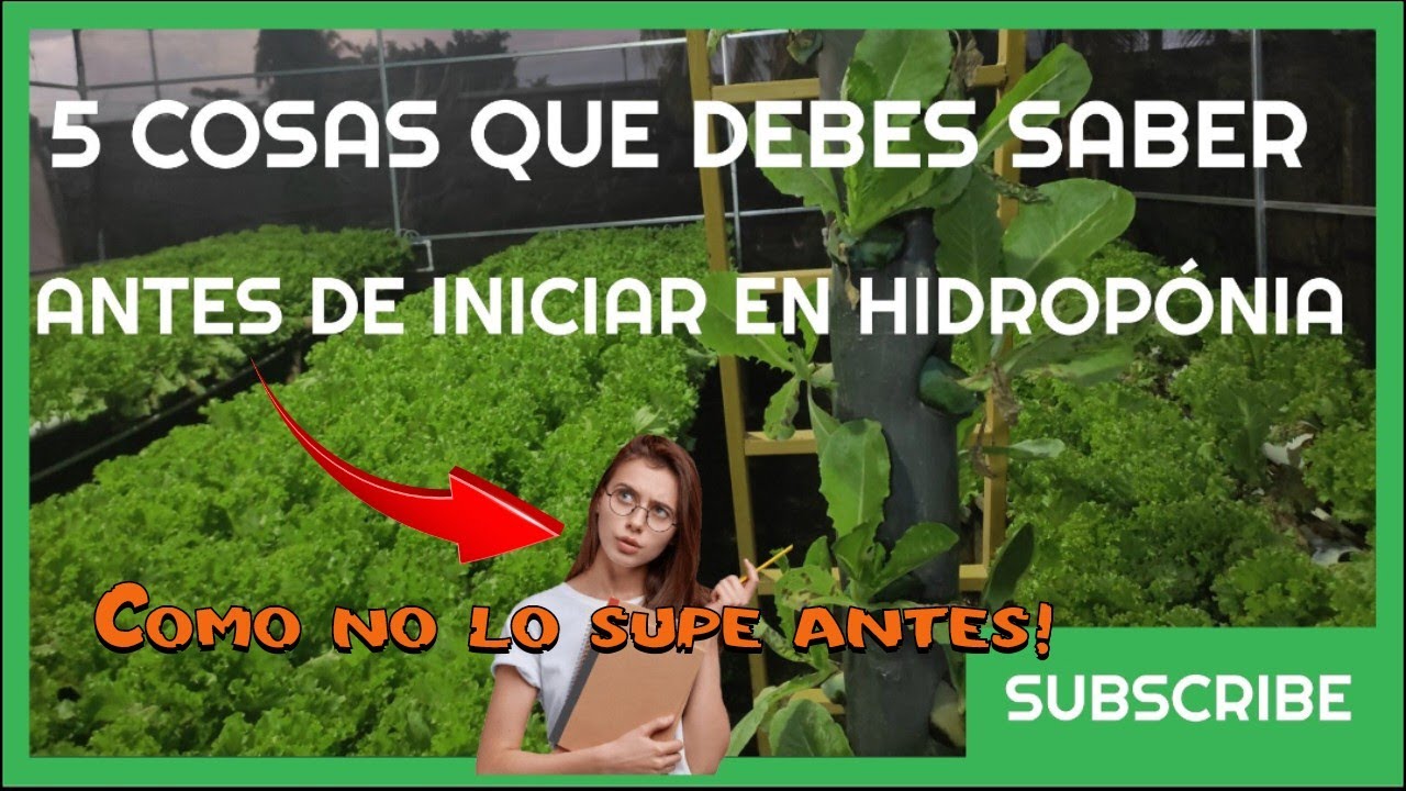 5 cosas que debes saber antes de iniciar en hidropónia [COMO NO LO SUPE ANTES]