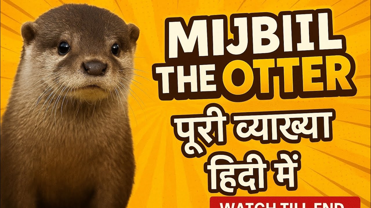 Mijbil the Otter | Full Explanation in Hindi | Class 10 English | NCERT Summary । 