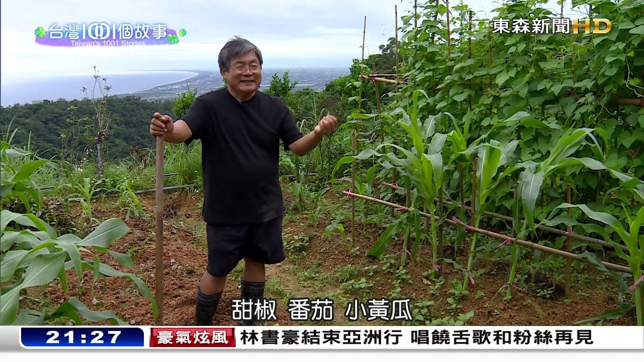 宜蘭蜻蜓造型民宿  住宿餐食房客驚艷-台灣1001個故事