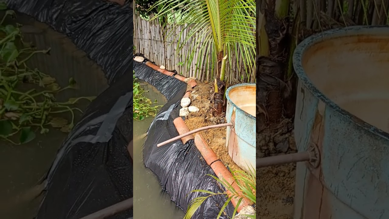 Mostrando as mudanças que fiz no poço dos peixes!