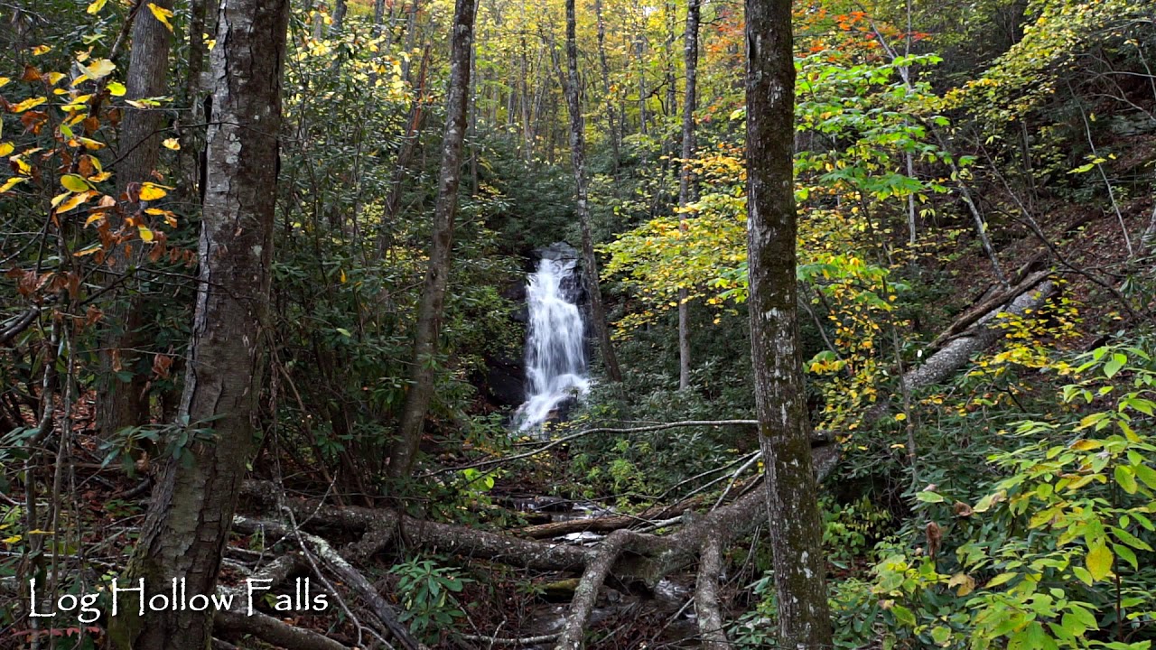 4 Waterfalls in the Log Hollow Area - Pisgah National Forest