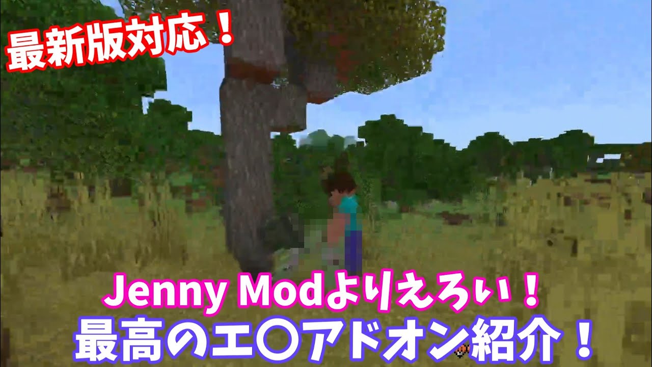 【Minecraft】Jennyアドオンよりもエ●い？！新しいエ●アドオンを紹介します