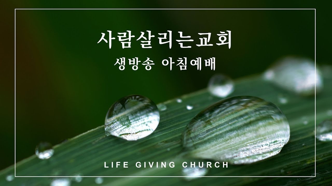 2026.2.20.(금)ㅣ사람 살리는 교회ㅣ마태복음 15장 21~28절ㅣ큰 믿음으로 사십시오.ㅣ아침 예배 생방송 LIVE ㅣ조덕현 목사