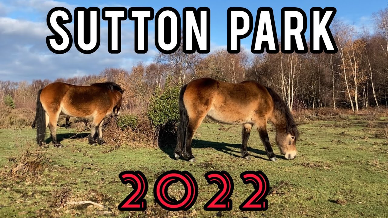 Sutton Park 2022 - Bracebridge Pool