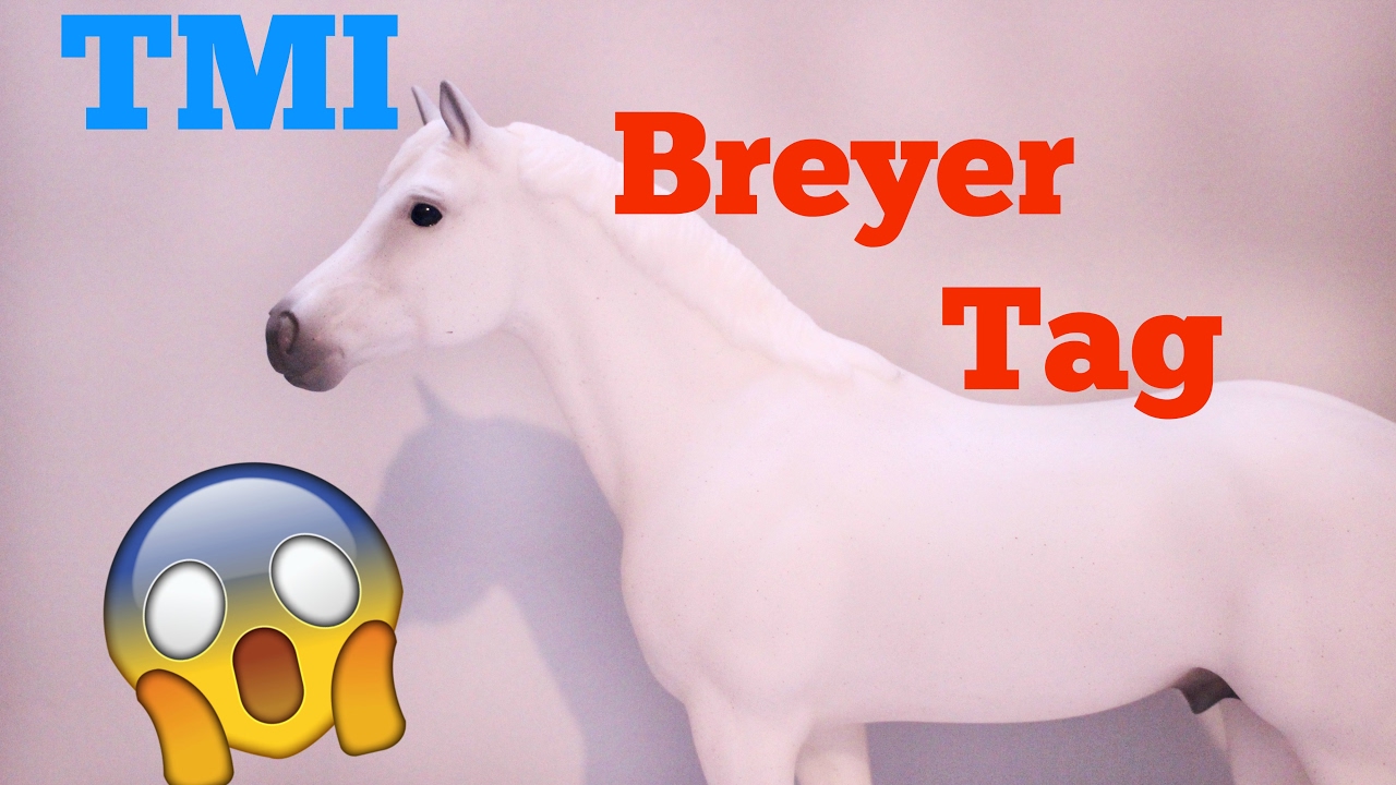 TMI Breyer Tag! // Original Tag