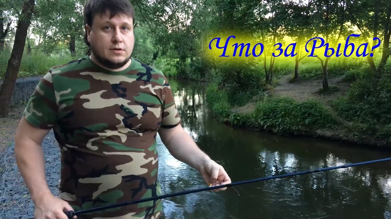 Строительный рынок (Химкинский  Двор)  Рыбалка в Юрово (Химки)