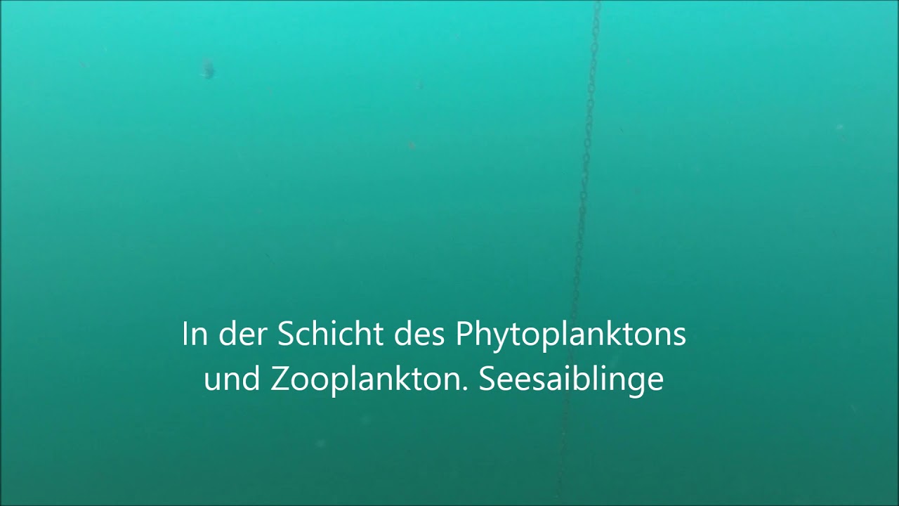 Lago di Cadagno openROV 2.8 Dive