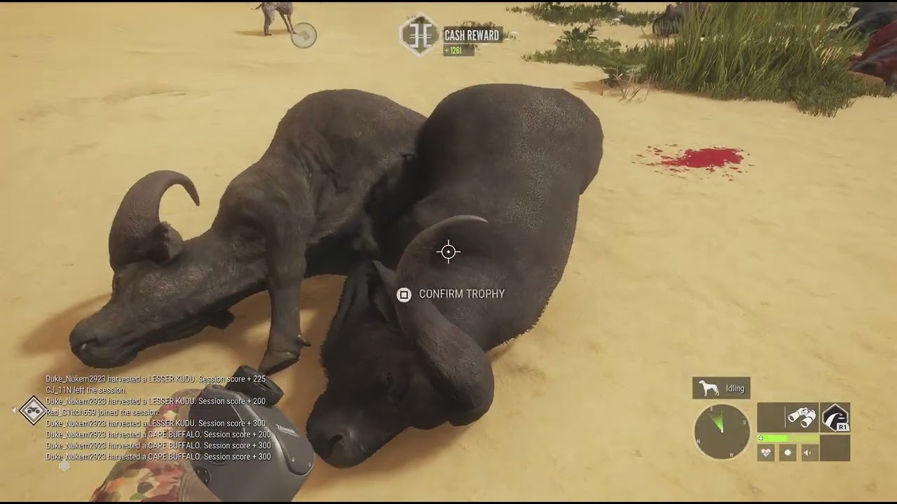 theHunter: Call of the Wild_20260212214805