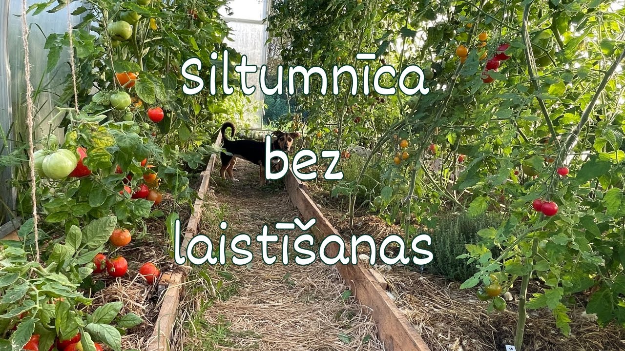 Siltumnīca bez laistī&scaron;anas.