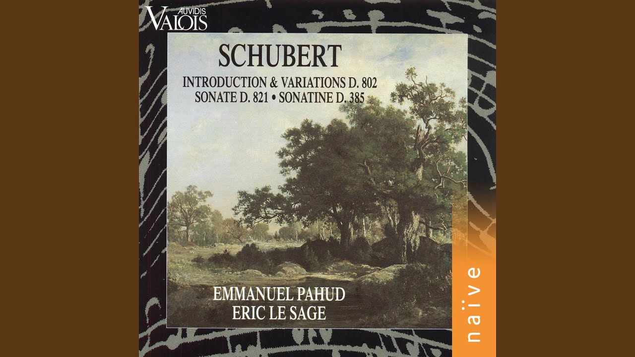 Violin Sonata in A Minor, Op. 137 No. 2, D. 385: I. Allegretto