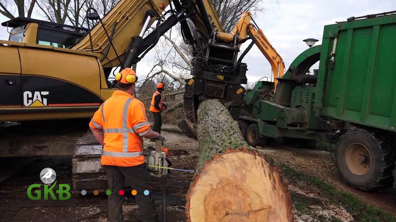 bomen rooien Middeldijk Barendrecht