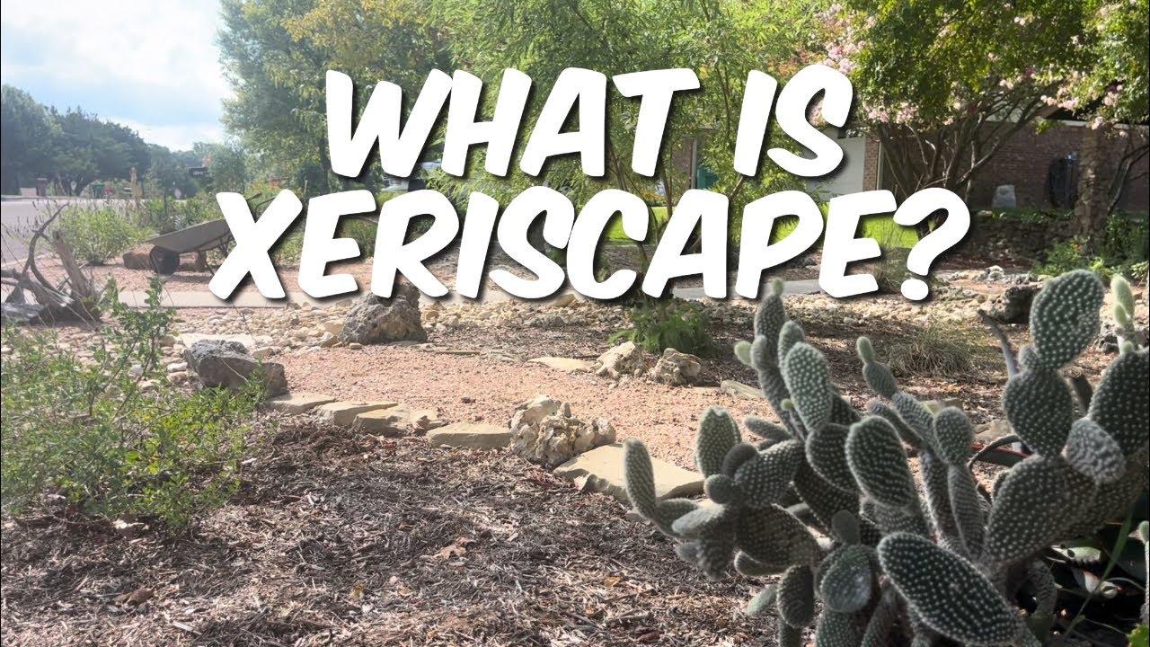 Техасский тур Xeriscape