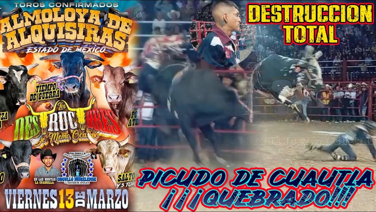 🔥❗️DESTRUCCION TOTAL❗️🔥 | 🚨PICUDO DE CUAUTLA QUEBRADO🚨 | DESTRUCTORES FERIA REGIONAL ALMOLOYA 2026