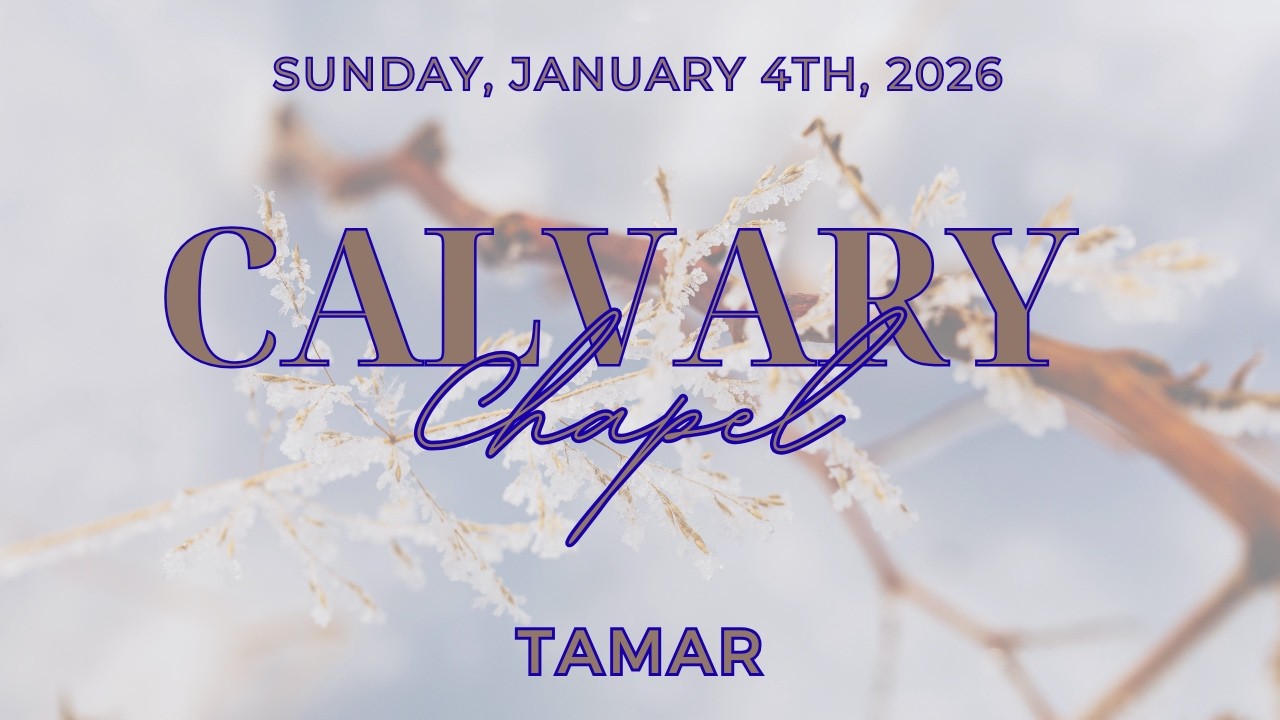 Tamar - 1.4.26