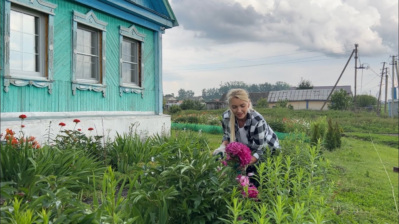 ВЫСАДИЛИ ТУИ/ПЕРВЫЕ ЗАГОТОВКИ НА ЗИМУ/КЛУБНИКА В СОБСТВЕННОМ СОКУ